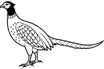 Pheasant silhouette vector illustration, Pheasant Bird