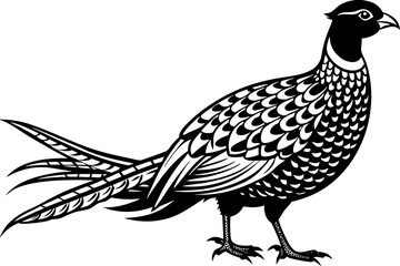 Pheasant silhouette vector illustration, Pheasant Bird