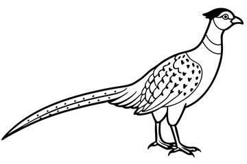 Pheasant silhouette vector illustration, Pheasant Bird