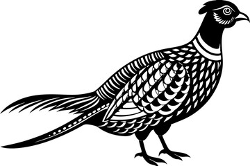 Pheasant silhouette vector illustration, Pheasant Bird