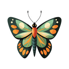 Colorful Butterfly Vector illustration Art