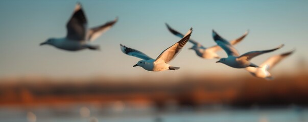 Fototapeta premium Birds in a V formation fly over a lake at sunset