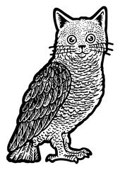 Owl with cat head line art sketch engraving PNG illustration. T-shirt apparel print design. Scratch board imitation. Black and white hand drawn image.