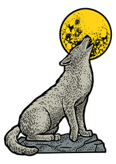 wolf howling at the moon color sketch engraving PNG illustration. T-shirt apparel print design. Scratch board imitation. Black and white hand drawn image.