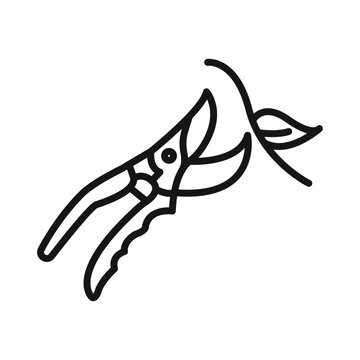 recommend clip art: Pruning icon Black line art vector