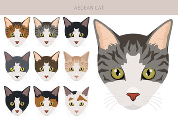 Aegean cat clipart. All coat colors set.  All cat breeds characteristics infographic