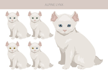 Alpine Lynx clipart. Highlander, All coat colors set.  All cat breeds characteristics infographic