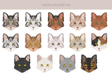 Fototapeta premium American Bobtail cat clipart. All coat colors set. All cat breeds characteristics infographic