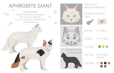 Aphrodite Giant. Cyprus cat clipart. All coat colors set.  All cat breeds characteristics infographic