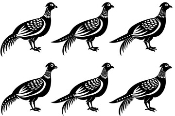 Bird pheasant vector silhouettes, Collection of silhouettes of common pheasants