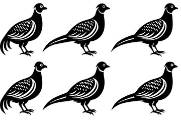 Bird pheasant vector silhouettes, Collection of silhouettes of common pheasants