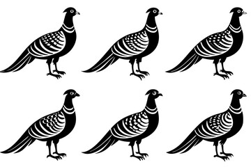 Bird pheasant vector silhouettes, Collection of silhouettes of common pheasants