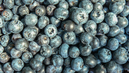 blueberry berries scattered on the surface in the rays of the summer sun