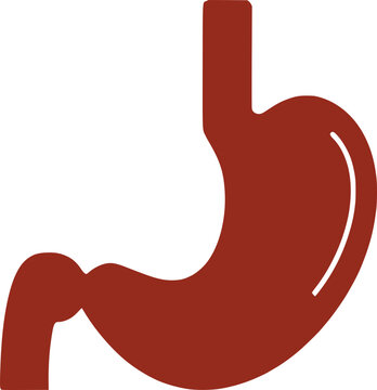 recommend clip art: stomach as a digestive system organ of human body
