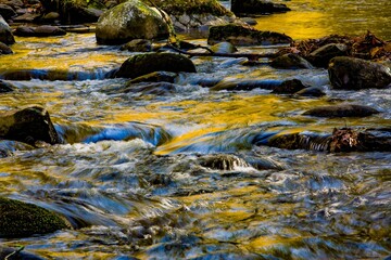 Middle Prong of Little River in the Tremont region of the Great Smoky Mountains National Park.  Reflected in the river are trees showing their brilliant fall color foilage.