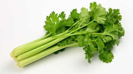green isolated celery fresh
