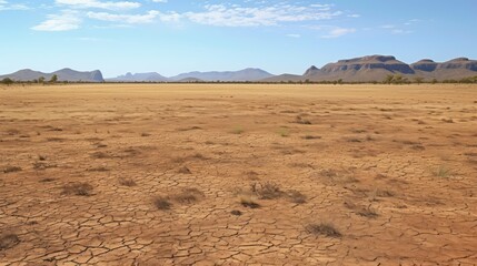 summer brown lawn
