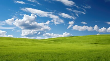 Obraz premium meadow clear light blue sky