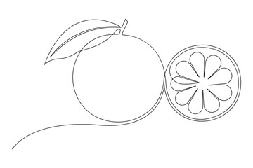 Vector abstract continuous one single line art drawing of icon orange fruit in sketch
