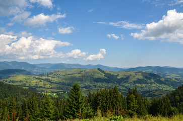 Spruce forests, rolling expanse of lush green hills with village houses and mountain ridge on background beneath a vast, azure sky adorned with scattered clouds. Carpathian Mountains, Ukraine