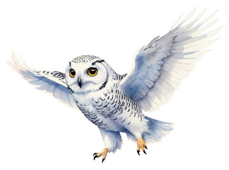 Obraz premium Watercolor illustration of a cute white owl isolated on a transparent background. Arctic animal clipart - Snowy owl on white backdrop for design: books, stickers, decoration, prints, cards. 