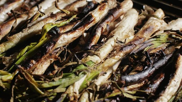 Traditional Spanish catalan green winter onion calcots, spring green season grill barbecue, vegan bbq with fire in Barcelona, Catalonia. Close up of grilling green onion.