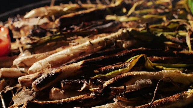 Traditional Spanish catalan green winter onion calcots, spring green season grill barbecue, vegan bbq with fire in Barcelona, Catalonia. Close up of grilling green onion.