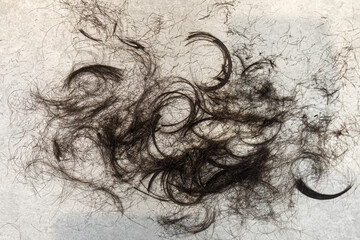 Clump of cut hair on the floor