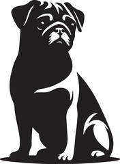 Pug dog  vector illustration