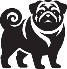 Pug dog  vector illustration
