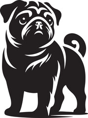 Pug dog  vector illustration