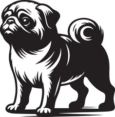 Pug dog  vector illustration