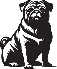 Pug dog  vector illustration