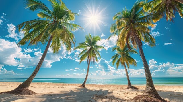 Beautiful tropical beach with tall palm trees, white sandy shore, and clear blue sky under the shining sun