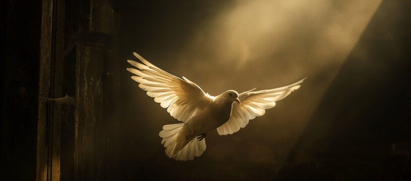 A dove with outstretched wings in an open door, illuminated by light rays