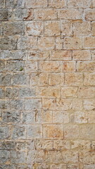 Textured Limestone Wall Vertical Close-Up Multicolor