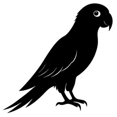 Obraz premium Vibrant Parrot Silhouette Vector Illustration for Tropical Designs