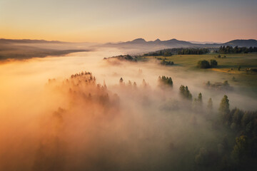 Misty morning in Pieniny Mountains during summer sunrise