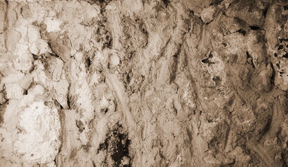 Rough Earthy Wall Texture Sepia Toned Close-Up