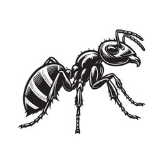 Ant silhouette vector