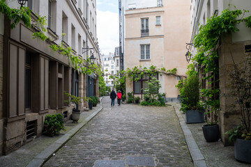 Fototapeta premium une petite rue pavée dans le centre d eParis en France