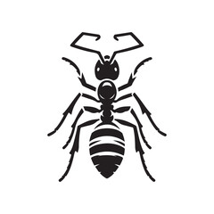 Ant silhouette vector