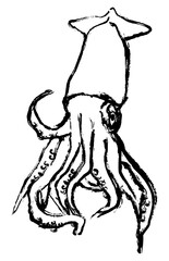 I drew a squid in ink painting style.