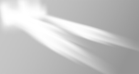 Glare from the sun's rays on the wall. Blurred shadows from leaves and plants in the room. Soft overlay of natural light. Abstract background for product presentation.Natural light layout.