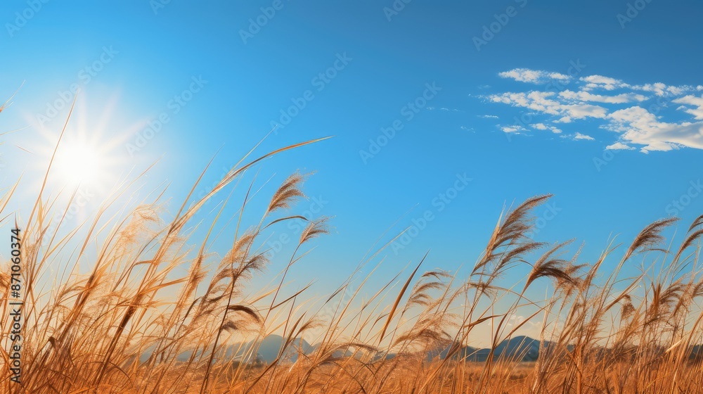 Canvas Prints landscape scorching sun