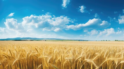 golden agriculture summer