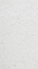 Fototapeta premium A textured white paper background