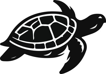 turtle s Vector illustration isolated on white background