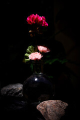 Kwiaty polne, bukiet kwitów polnych © Andrzej