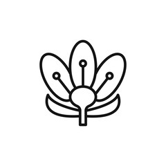 Crocus Icon outline collection in black